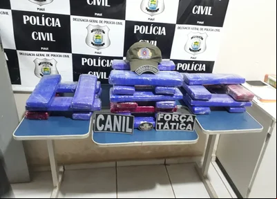 Material apreendido pela PM em Picos
